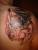new tattoo